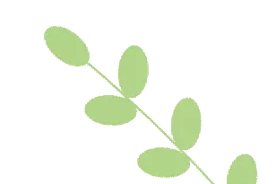 【文化铸品】广乔学社•美文鉴赏——《有片花园》图片