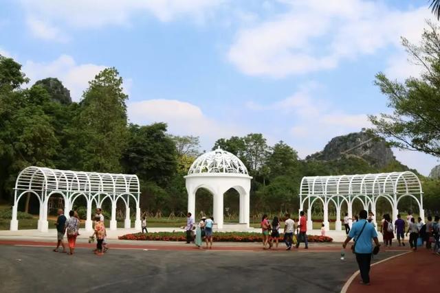 免费！优惠！明天来南宁，过重阳不“重”样！