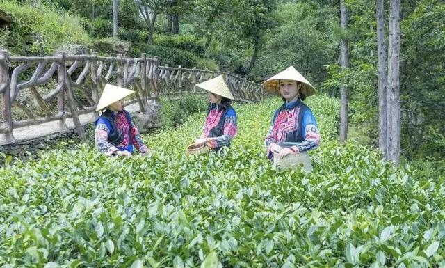 42℃的天往哪儿逃，自然是均温20℃的九龙啦！