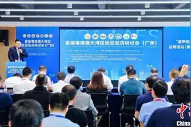 专家学者聚首广州共议低空经济发展图片