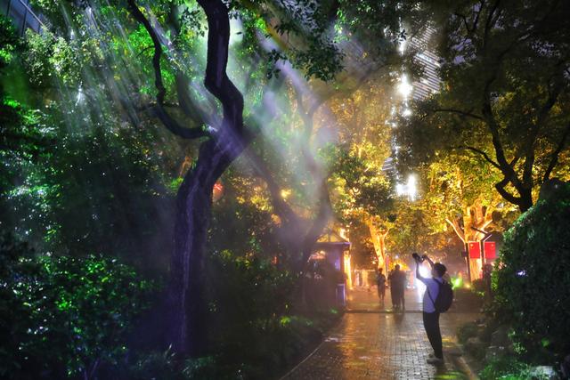 限时10天，“敦煌光影石窟”搬进市中心！静安国际光影展重磅上新