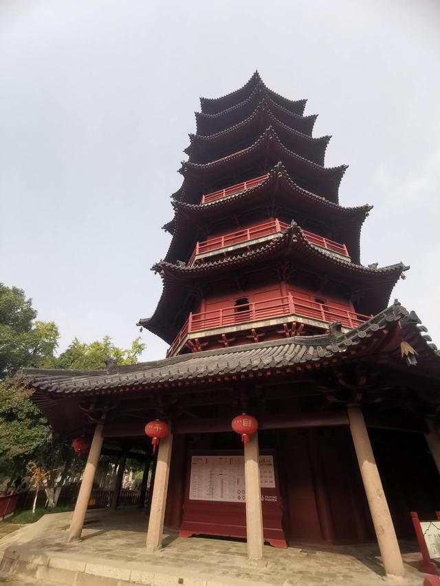 晚潮｜深秋，总要看场菊展吧