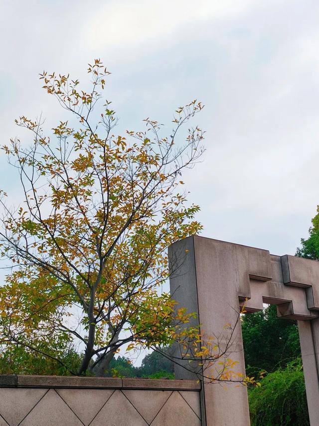 别眨眼，接下来的新干是这样的→