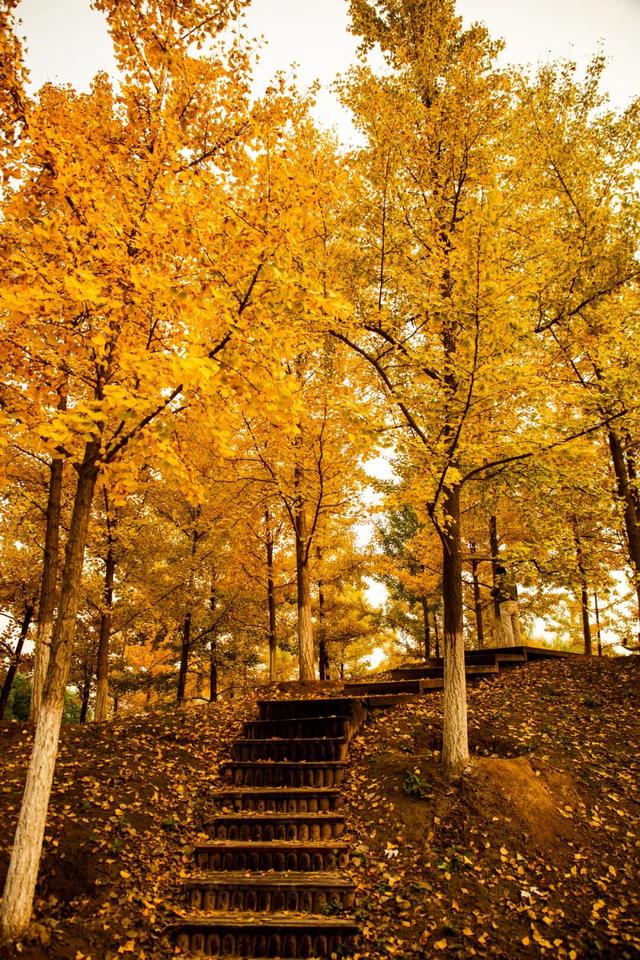 这里藏着最治愈的周末时光！