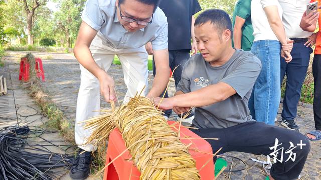 星空营地点亮“东江红都”，惠东高潭文旅“上新”