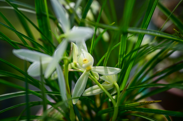 重磅！洛阳即将再添两家国家4A级旅游景区！
