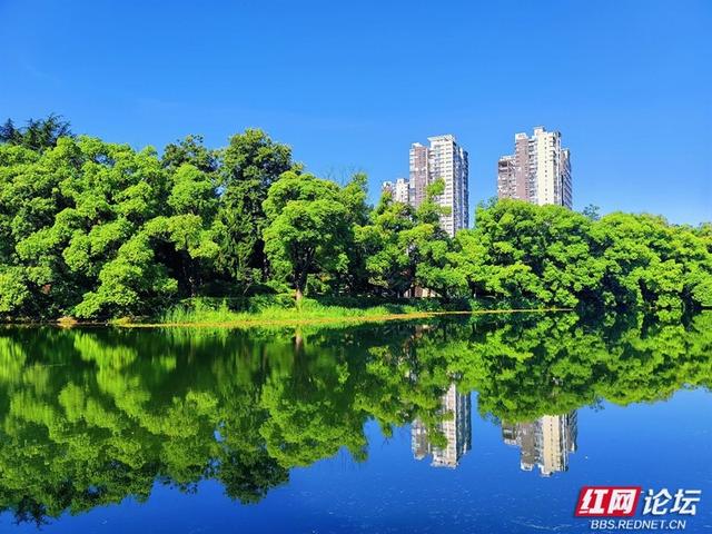 高清湖南丨天幕如画，城市生光，这才是常德的夏天
