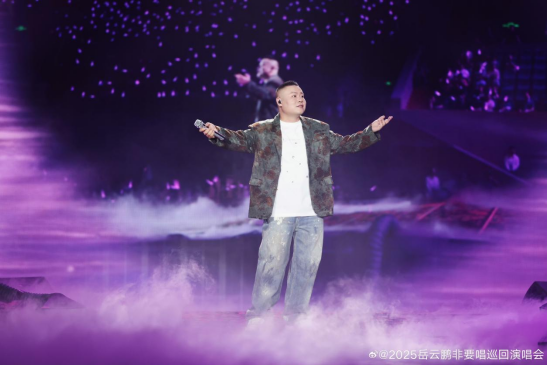 岳云鹏开演唱会为何引发争议