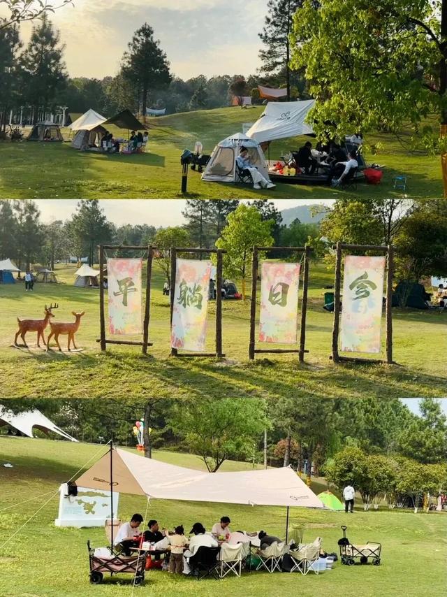 来江西，开启躺“营”模式！