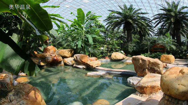 汤泉焕新・享游春光｜汤泉拾光《汤泉度假区精品旅游指南》发布