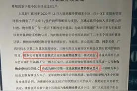 明年起，免收物业费！一物业公司“送福利”，专家：没有免费的午餐，长期看未必有利图片
