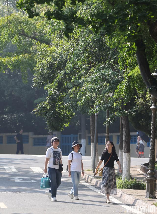 一步一景，一关一画！