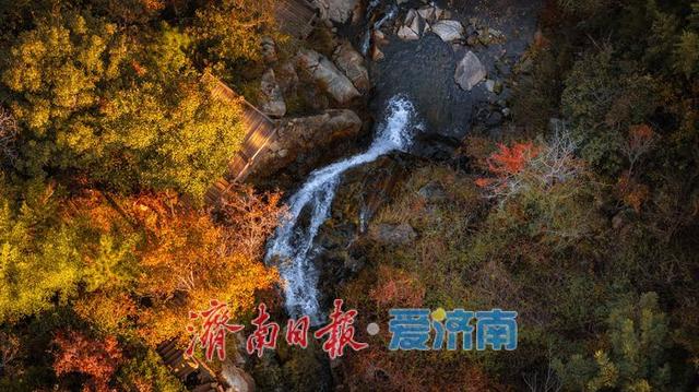 一年四季 泉在济南丨济南九如山：秋日斑斓如诗画，手工体验让秋天 “触手可得”