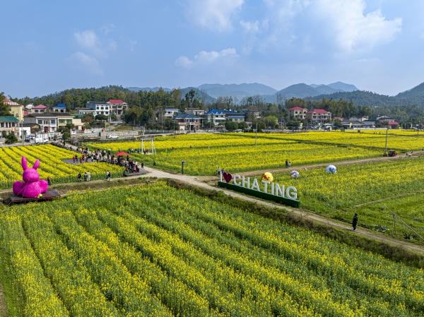 解读“望城范儿”——文旅融合高质量发展的创新实践