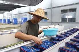 博罗龙溪：延伸现代农业产业链，为“百千万工程”蓄能图片