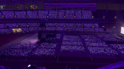 你为什么喜欢看演唱会？