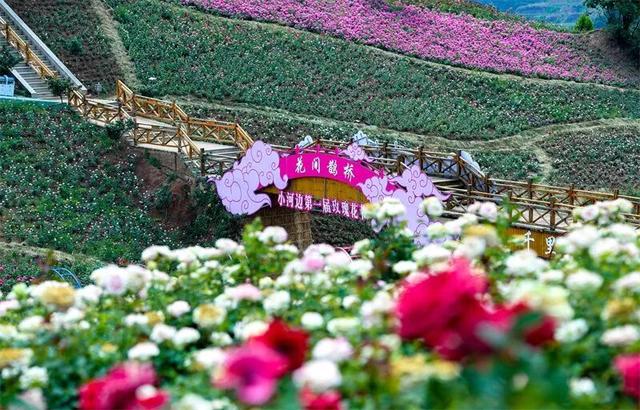 红河3地拟入选！首批“旅居云南”高质量发展试点名单正在公示
