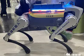 机器狗“上岗”医院，送药、宣教，陪娃看病超暖心图片