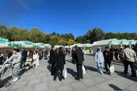 帮扶地区特色农副产品惠民展销，朝阳添美食大集图片