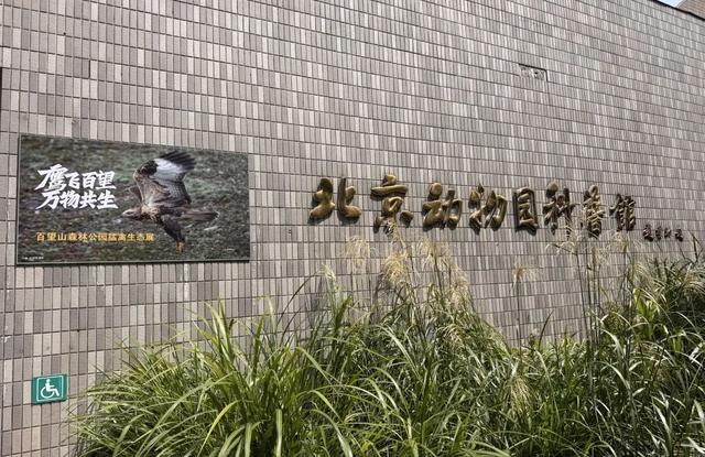 立秋时节，北京市属公园八月看展清单新鲜出炉！