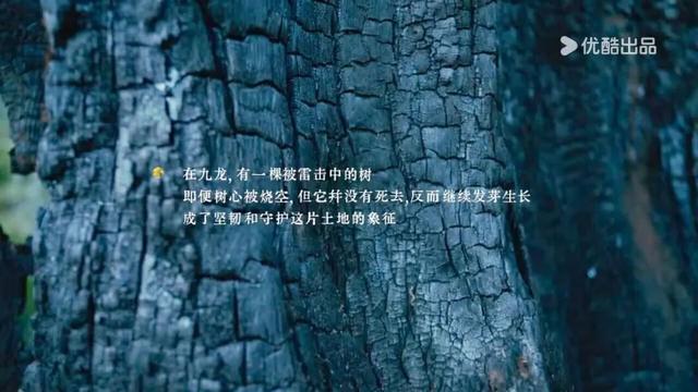 太是那个了！谭维维和丁真去过的九龙真的不一般