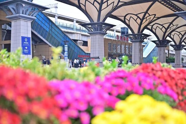 12306购票时收到弹窗提醒！这是咋回事？