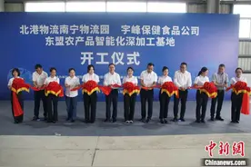 广西南宁打造面向东盟农产品智能化深加工基地图片