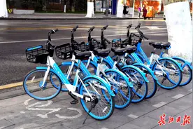 你的共享单车停规范了吗？来说说图片