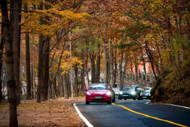 别再问了！洛阳秋色天花板，就藏在这里→