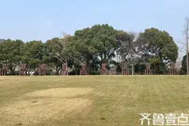 青未了｜湖光春韵，静美之章图片