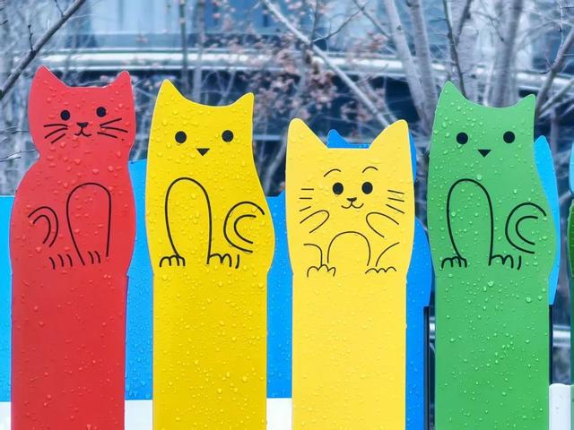 缙云县城市政设施巧“变身” 让城市更有温度