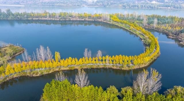 河南洛阳：黄河岸边秋景美如画