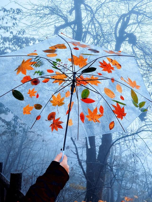别等天晴了！雨天的秋日瓦屋，藏着你没见过的朦胧浪漫