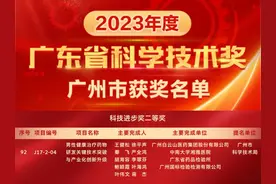 十年征程，从白云山金戈到“三剑客”图片
