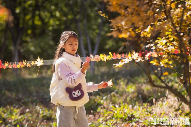 青岛故事｜五彩斑斓的秋日青岛，你怎能不爱？