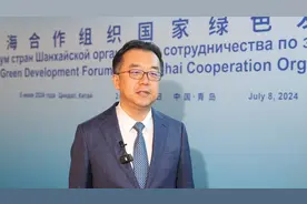 上海合作组织国家绿色发展论坛｜青岛市委常委、上合示范区党工委书记张新竹：打造高水平对外开放新高地图片