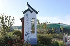 收下这份春日邀约，来森花打包你的春天图片