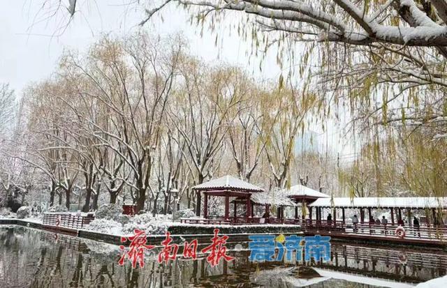 一年四季 泉在济南丨雪漫济南府 九景入画来