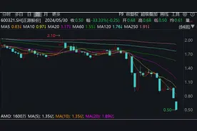 年内首家面值退市的非ST股票诞生，正源股份控股股东此前撤回重整申请图片