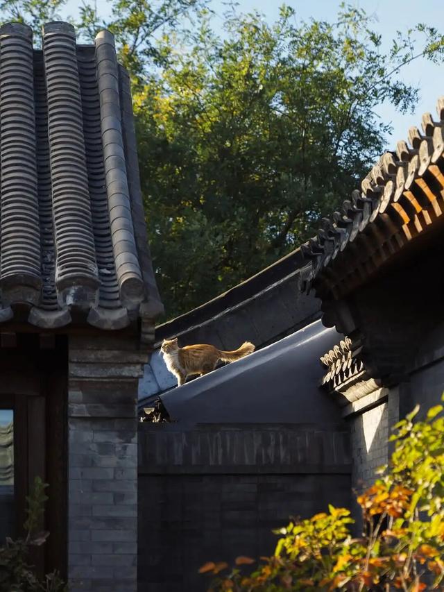 ​2025全球50佳酒店揭榜！奢华旅行正在“东升”