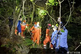 10小时“丛林历险”，救援人员斧头开路救出被困深山游客图片