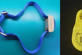 科技助力农业产业过冬：牦牛戴上“智能手表”、科学选育耐寒油菜…图片