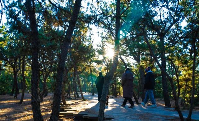 冬韵染南海 一帧一景皆画境