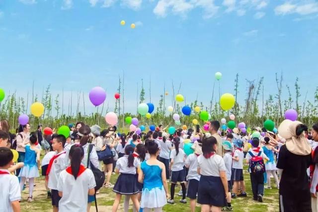 乘沪苏湖高铁游示范区，这三站玩转夏日亲子之旅