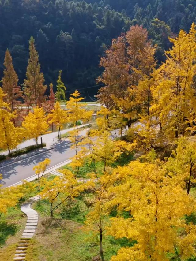 致游客｜错峰出游更舒心！南雄帽子峰的“金秋童话”，仍在为您驻留！