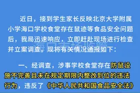 官方通报北大附小海口学校食堂老鼠乱窜：警告，罚款5万图片