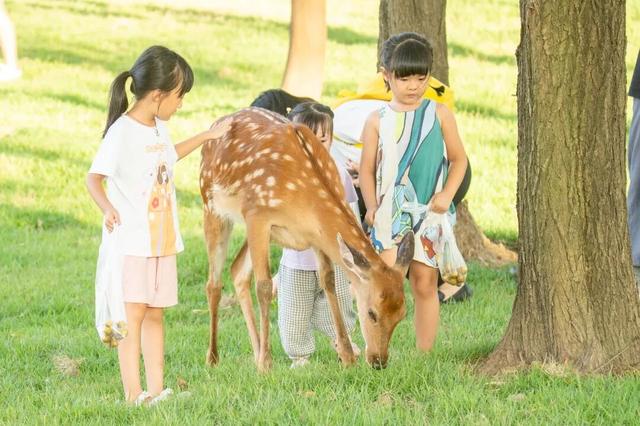 顺德北部创新湾已备好“年味大餐”，游玩攻略→
