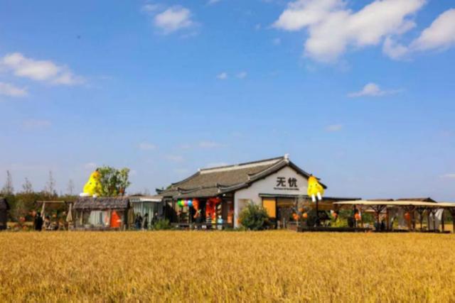 请查收美图！这么美的奉贤，你见过吗？