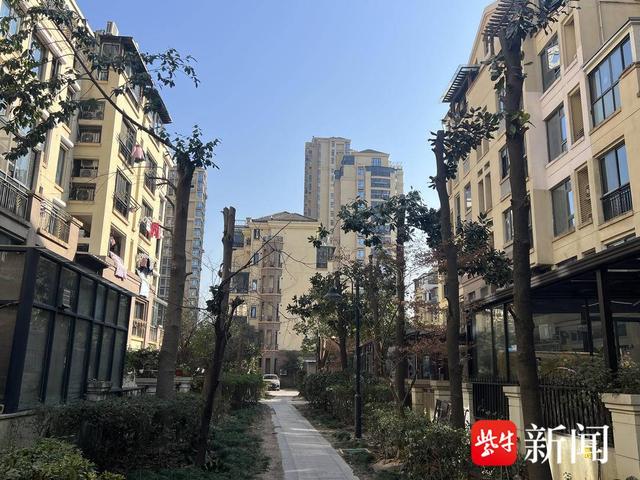 问政江苏｜采光、绿化难兼顾？苏州一小区树木被疑“过度修剪”
