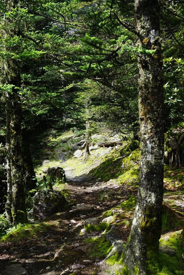 来螺髻山，开启一场身心救赎之旅